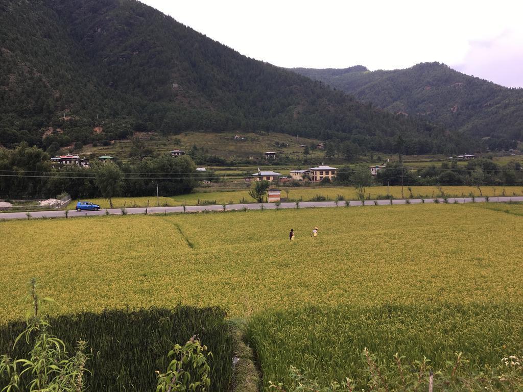 Ama'S Village Lodge パロ エクステリア 写真